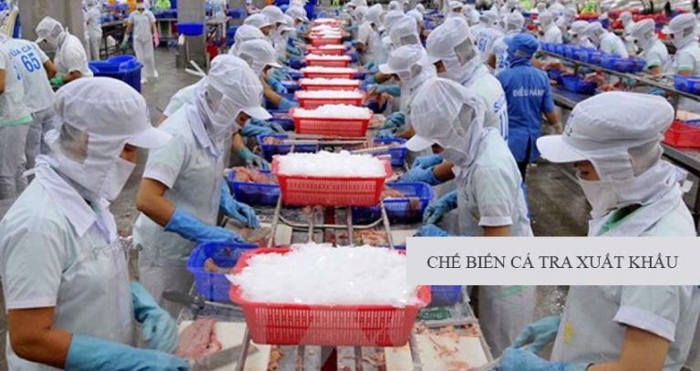 Nón Trùm Đầu Dành Cho Công Nhân Chế Biến Thực Phẩm | Thủy Sản