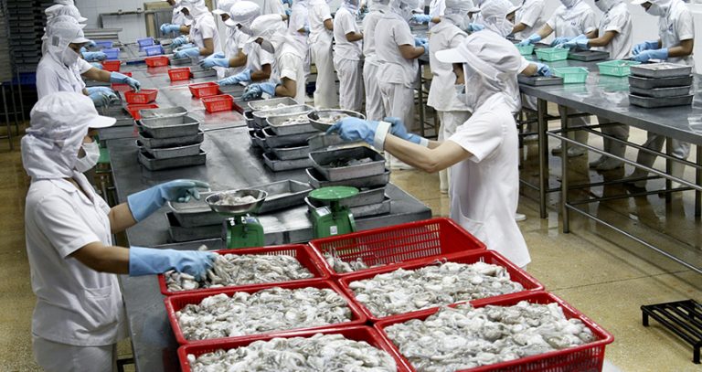 May Nón Vải Trùm Đầu Thủy Sản | Thực Phẩm Giá Rẻ Tại Tp.HCM