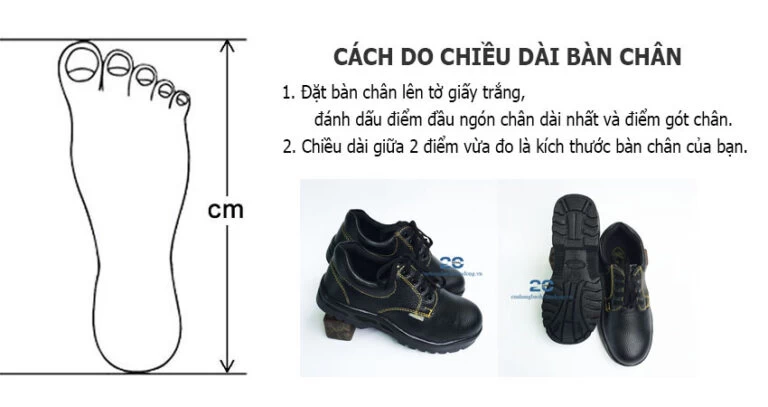Bảng Tính Size Giày Bảo Hộ Lao Động