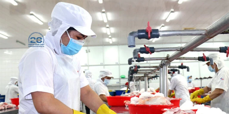 Nón Vải Trùm Đầu Thủy Sản | Thực Phẩm – Giải Pháp Tối Ưu Cho Sự Gọn Gàng và An Toàn Vệ Sinh Thực Phẩm