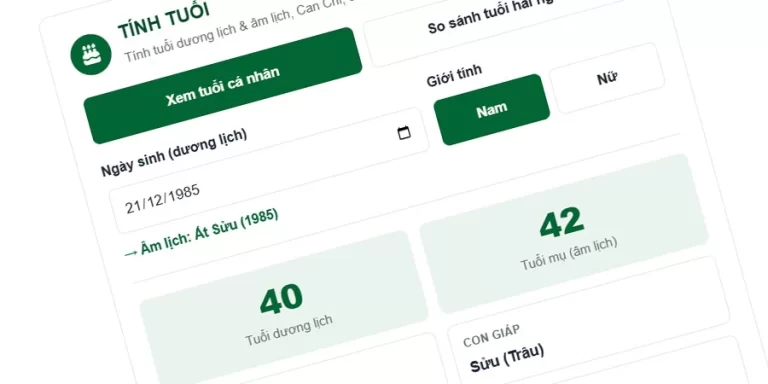 Cách Tính Tuổi Âm Lịch (Tuổi Mụ) Và Tuổi Dương Lịch – Công Cụ Tính Tuổi Nhanh